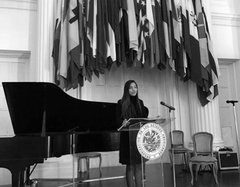 Organización de los Estados Americanos (OEA)